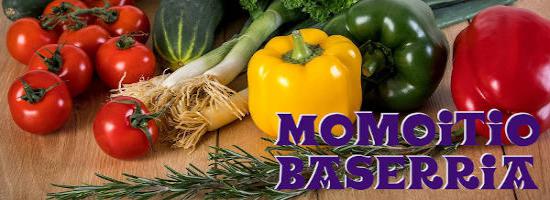 Momoitio Baserria